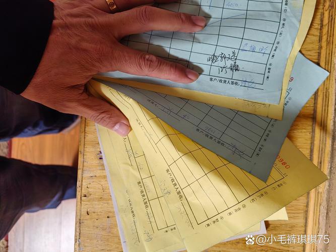 大家好,我是蘇州人駢森,在鴻雁工程精神的引領(lǐng)下于